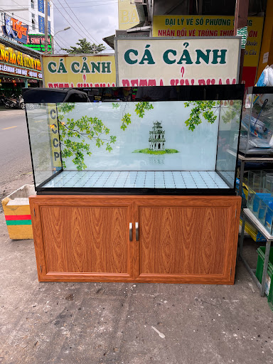 Cá