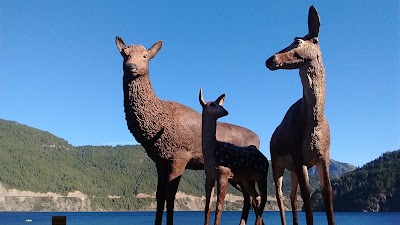 Photos of Costanera Lago Lacar