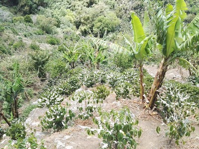 Photos of Monte Copey