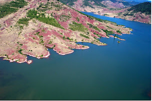 Photo n°16 de Les barons de Guers à Castelnau-de-Guers (Maison d'hôtes)