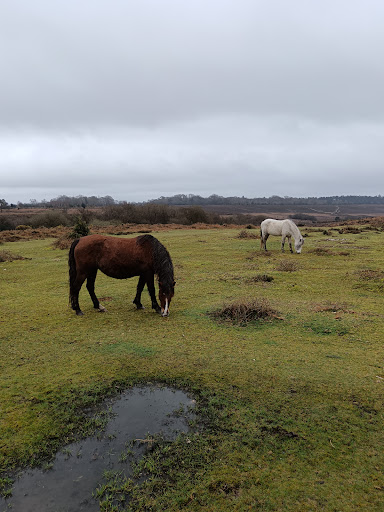Andrews Mare Car Park - Thumbnail