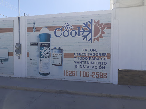 Mr.Cool - Visual