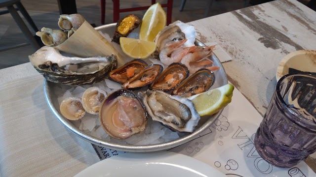 VIVO | dal Mare alla Padella