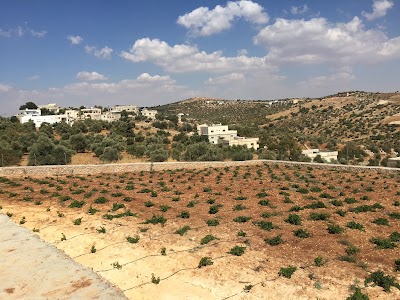 Photos of Saleh Kayyali's Farm