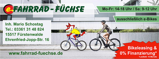 Die Fahrrad Füchse (e-Bike Shop) - Thumbnail