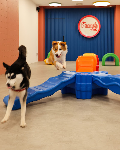 Pawsh Club - Premium dog daycare, boarding, grooming and party services - Veterinarian