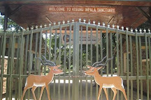 Kisumu Impala Sanctuary, Kisumu, Kenya