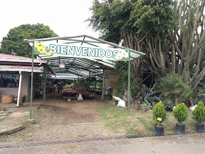 Photos of Vivero El Zamorano