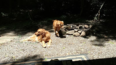 Photos of Roan Mountain State Park