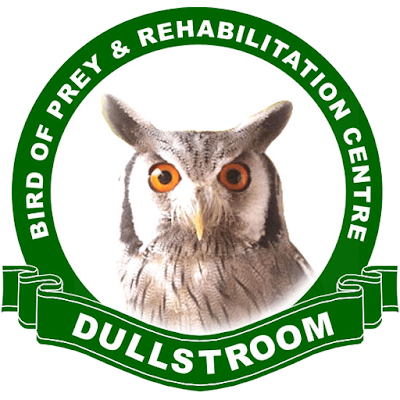 Photos of Dullstroom Bird of Prey & Rehabilitation Centre