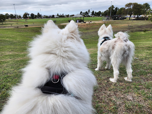 Ellenbrook Dog Exercise Park