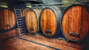 Photo n°1 de Vins MARZOLF s.c.e.a. à Gueberschwihr (Établissement vinicole)