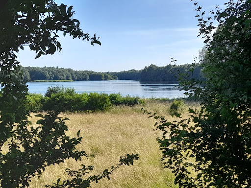 Mittelweser - Thumbnail