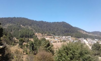Photos of Bosque Comunal
