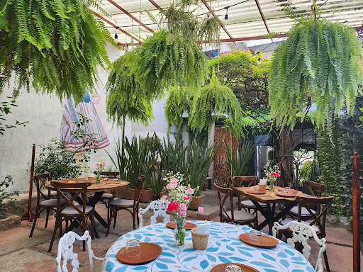 Patio ciento20 Xochimilco - Thumbnail