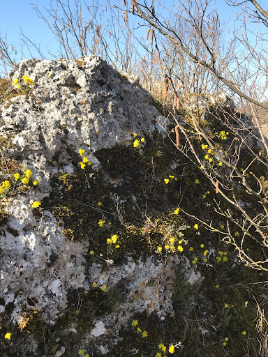 Felsen am Kreuzweg - Thumbnail