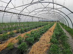 Photo n°3 de Domaine d'Écoline - site agro-touristique Gironde à Sadirac (Ferme à visiter)