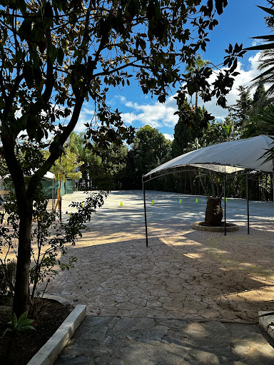 Mayfair International Academy - Thumbnail