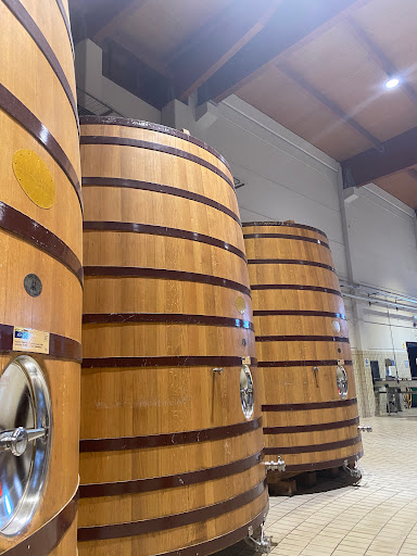 Tienda de Vinos Bodega Viña Arnaiz - Thumbnail