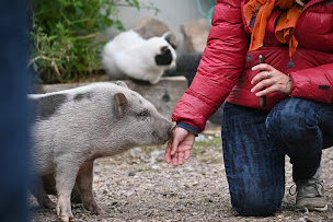 Photo n°7 de Bergerie des Chalots à Girmont-Val-d'Ajol (Éleveur)