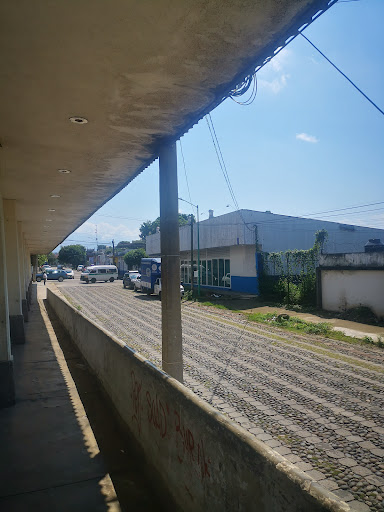 Rialfer - Visual