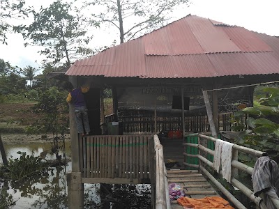 Photos of Saung Al-haddad