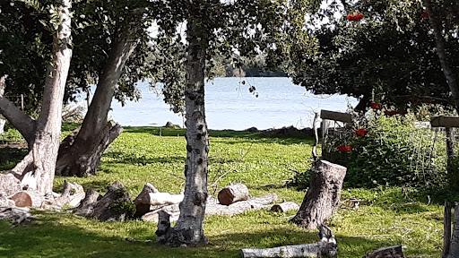 Bloemenhandel ,,Joco'' - Thumbnail