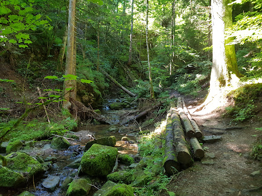 Lotenbach-Wasserfall - Thumbnail