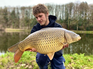 Photo n°1 de Fusion Baits à Aingeray (Magasin de pêche)