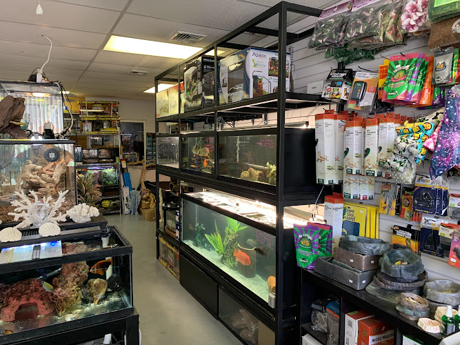 A & R Reptiles and Aquariums