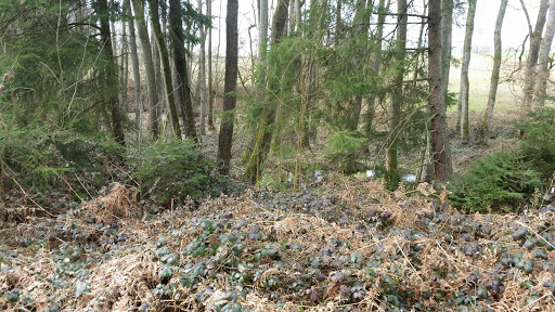 Ostholzbachtal