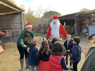 Photo n°24 de Claire Equitation à Saintes-Maries-de-la-Mer (Centre de randonnée équestre)