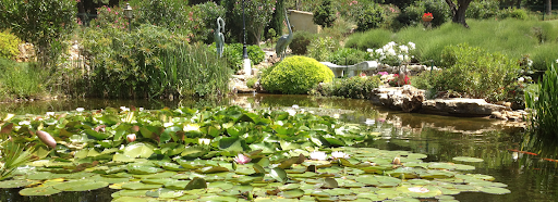 Photo de Décor Aquatique