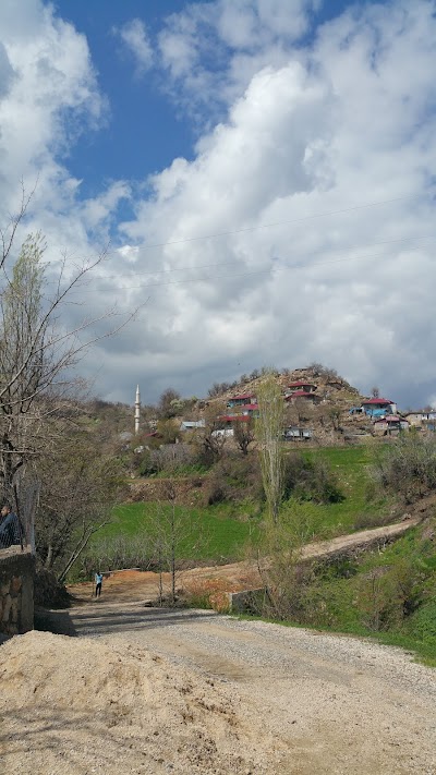 Dallarca Koyu Mosque