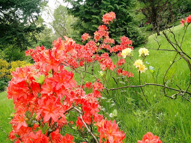 Arboretum trompenburg