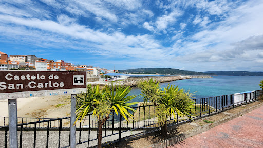 Parque do Castelo - Visual