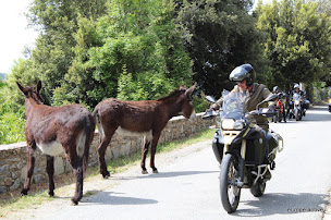 Photo n°9 de Corse à Moto à Borgo (Agence de location de motos)