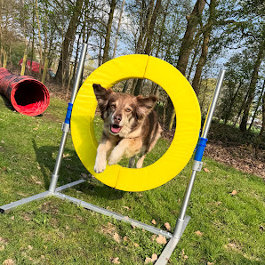 Hundeschule Bianca Hilpert - Buchholz in der Nordheide