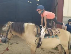 Photo n°15 de Centre équestre Crinière dans le vent à La Chapelle-Moutils (Club d'équitation)