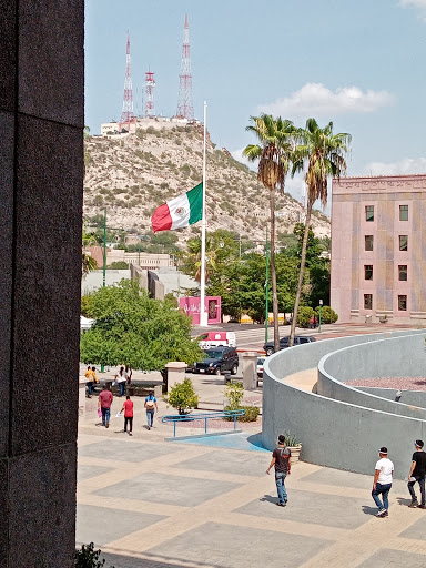 Centro de Gobierno Edificio México - Visual