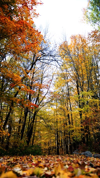 Photos of Pathways on Pleasure Valley