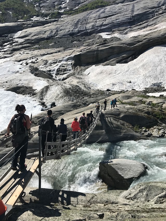 Nigardsbreen