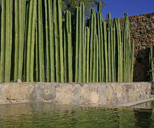 Valle de Los Senderos | Acceso 2