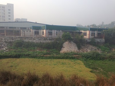 Photos of Earth Footwear Ltd.