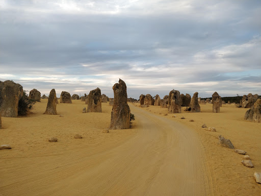 WA TOURS