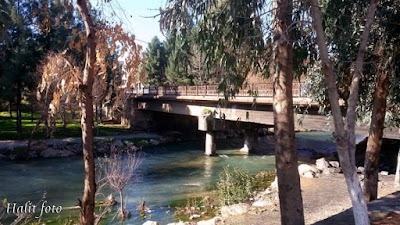 park