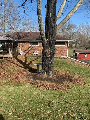 MP PROPERTY MAINTENANCE - Visual