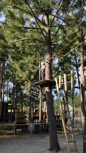 Lagus Campo e Aventura
