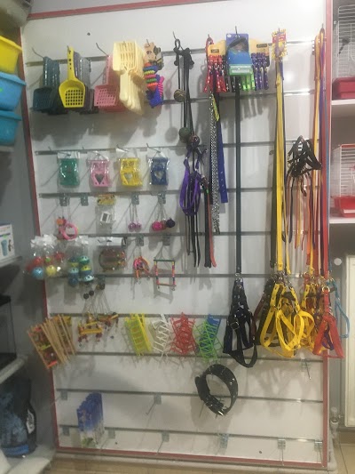 melis petshop mevlana talas ilcesi kayseri 90 555 752 09 45