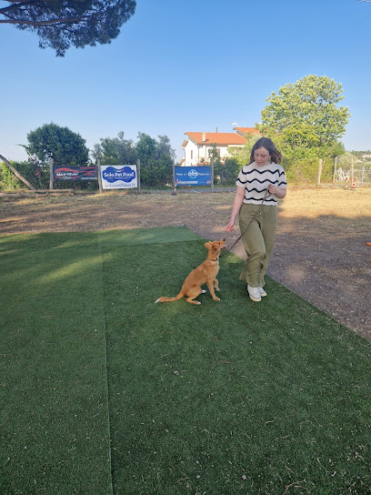 Centro Cinotecnico La Fenice